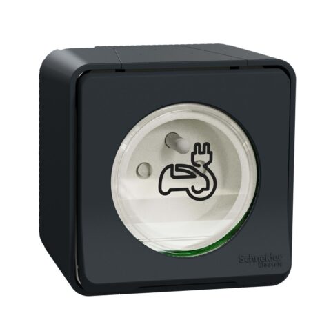Schneider Electric MUR36010 - prise renforcée VE Mureva Styl IP55 gris