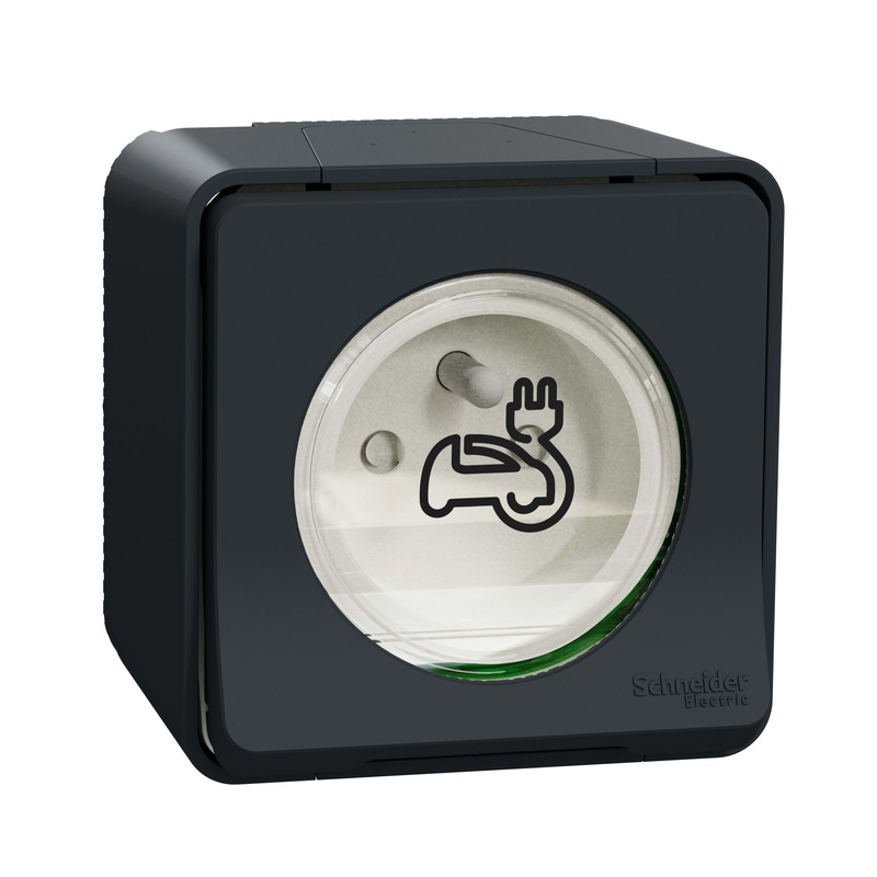 Schneider Electric MUR36010 - prise renforcée VE Mureva Styl IP55 gris